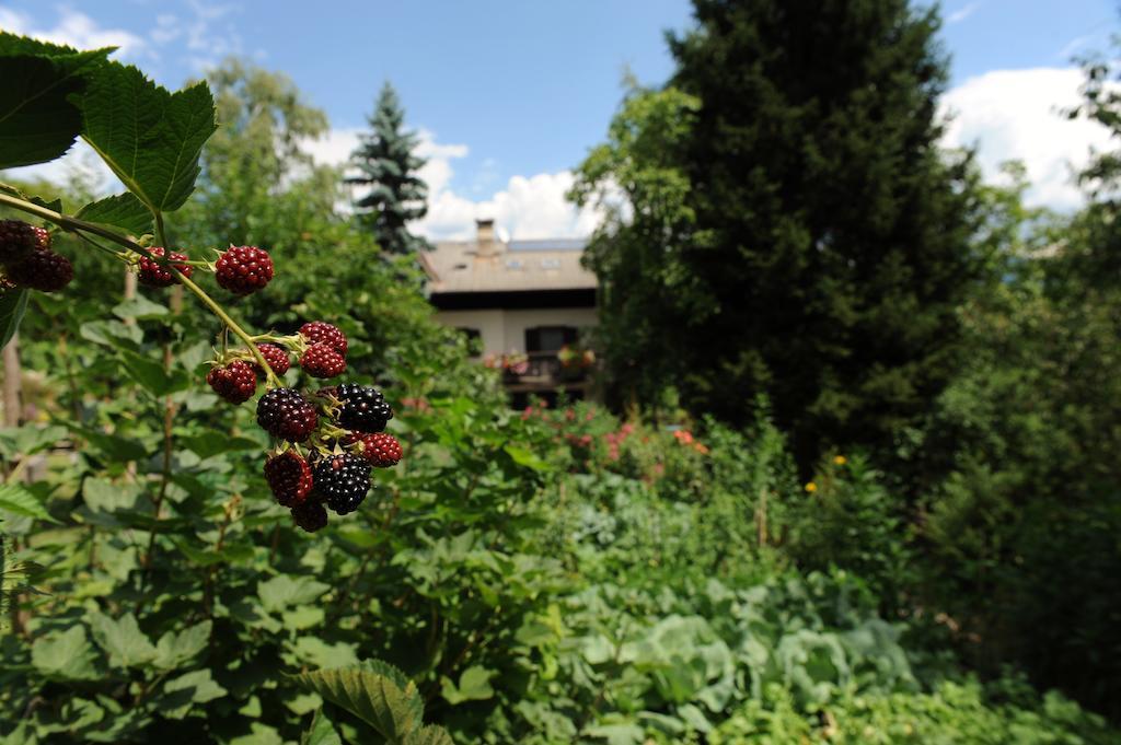 Rebleitenhof Lana Buitenkant foto